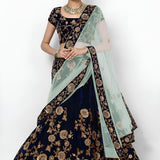 Elegance Embroidered Velvet Lehenga