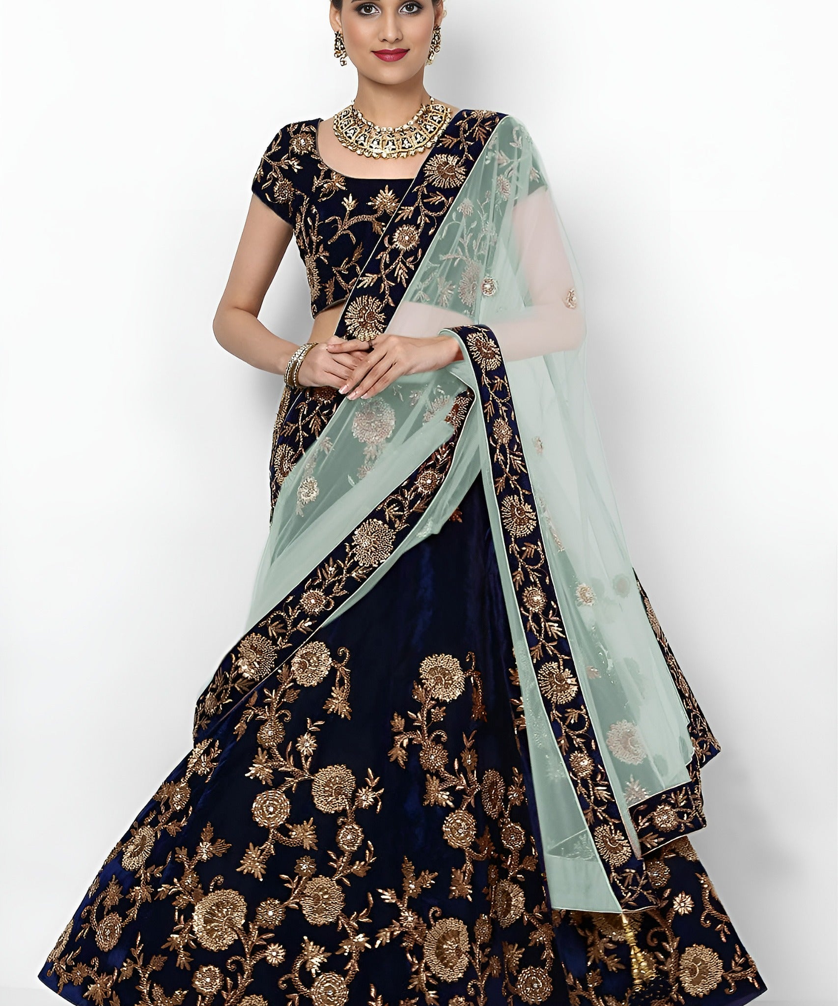 Elegance Embroidered Velvet Lehenga