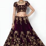 Elegance Embroidered Velvet Lehenga