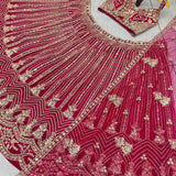 Luxury Net Embroidered Lehenga