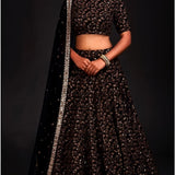 Special Occasionally Embroidered Lehenga
