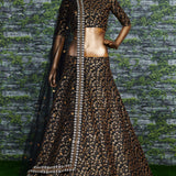 Special Occasionally Embroidered Lehenga