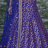 Special Occasionally Embroidered Lehenga