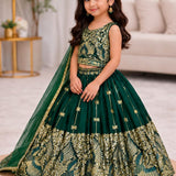 Beautiful Kids Silk Embroidered Lehenga