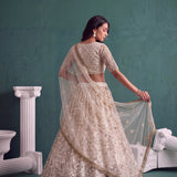 Premium Wedding Embroidered Lehenga