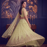 Premium Wedding Embroidered Lehenga