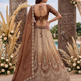 Astonishing Art Of Work Shaded Lehenga