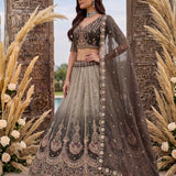 Astonishing Art Of Work Shaded Lehenga