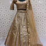Celebrity Beautiful Embroidered Lehenga