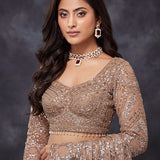 Premium Bridal Net Cutwork Saree