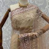 Luxurious Net Handwork Saree