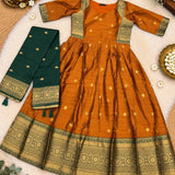 Varnika Traditional Silk Anarkali Suit