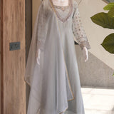Ethnic Embroidered Anarkali Gown