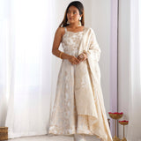 Alluring Banarasi Jacquard silk Gown