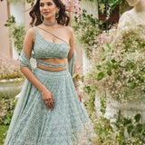 Fancy Heavy Net Embellished Lehenga