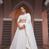 simple elegant Lehenga choli