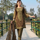 Designer Partywear Suit Collection