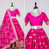 presence of Elegant Lehenga Choli