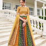 Beautifull Multy Color Silk Lehenga