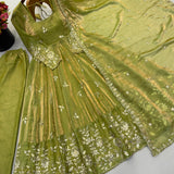 shiny Embroidered Fandy Silk Gown