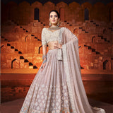 Present Elegant  designer Lehenga