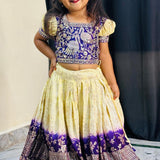 Elegance Kids Embroidered Lehenga Choli