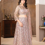 Emblished Net Heavy Lehenga Choli