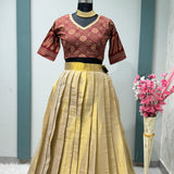 Elegant Traditional Half Half Lehenga