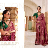 Shanvika Satin Tissue Silk Saree