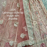 Fabulous Dori Embroidered Designed Party and Reception wear Lehengacholi