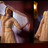 Elegance Wedding Bridal Lehenga Choli