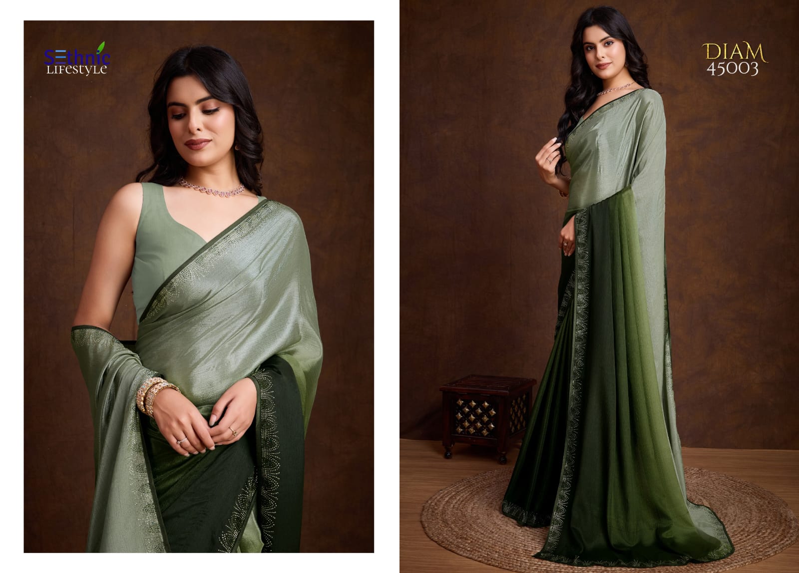 Crafted Chinon Shaded Colored Saree