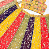 Beautufull Colored Georgette Silk Lehenga