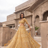 Soft Net Beautifull Lehenga Choli