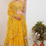 Occasionally Dola Silk Lehenga