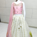 Beautifull Multy Colour Kids Lehenga