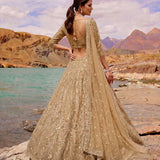 Bridal Golden Embroidered Lehenga