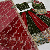 Darbari Traditional Georgette Lehenga Choli