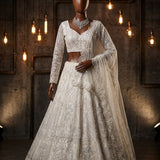 Royal Look Embroidered Lehenga