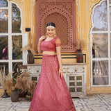 Rose Pink Sequance Embroidered Net Lehengha