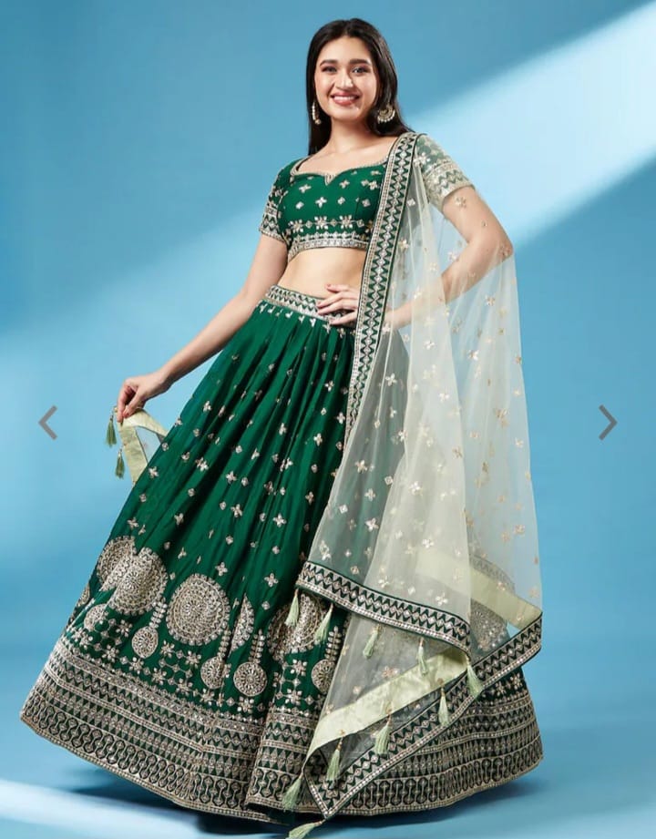 Beautifull Butterfly Sequance Lehenga