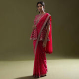 Presenting you most beautiful seqwance saree