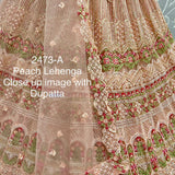 Hand Mirror Craft Multi Thread work Designer Partywear Lehengacholi