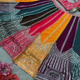 Beautiful Multicolored Lehenga Choli