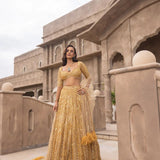 Soft Net Beautifull Lehenga Choli