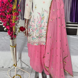 Pretty Collection Of Panjabi Suit