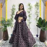 Garlish Jimmy Choo Lehenga Choli