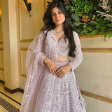 Stunning Heavy Net Lehenga