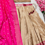 Elegant Traditional Half Half Lehenga Saree