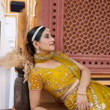 Mustard Sequance Embroidered Net Lehenga